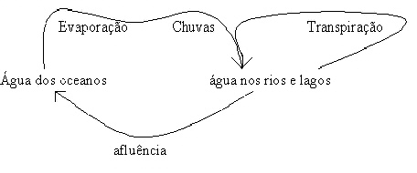 ciclo de gua