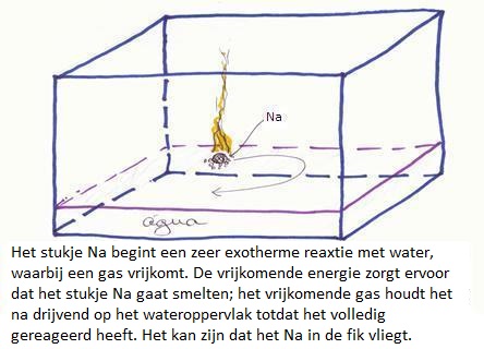 Circulaire Verstrikking Zeeanemoon redox Na met water