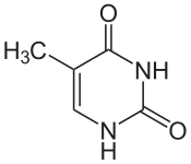 thymine (5K)